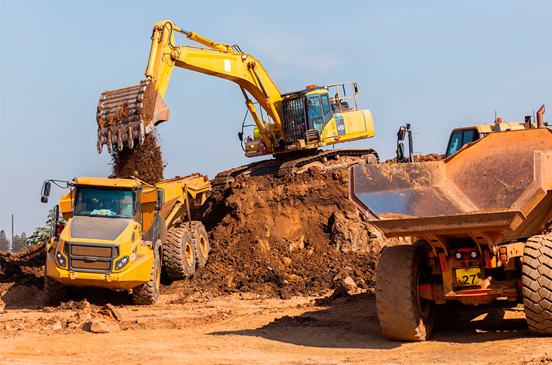 Planting mature trees as part of a large landscaping project.